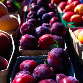 Farmers’ Market in the Santa Fe Railyard