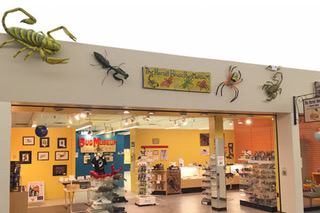 Huge Bug Cases