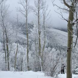 Snowshoeing and Hiking in Santa Fe
